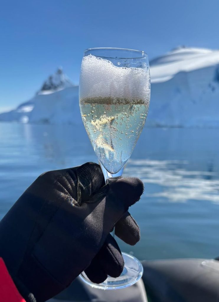 wilhelmina-ice