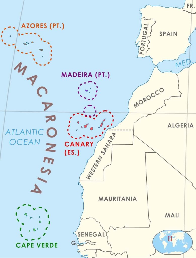 macaronesia