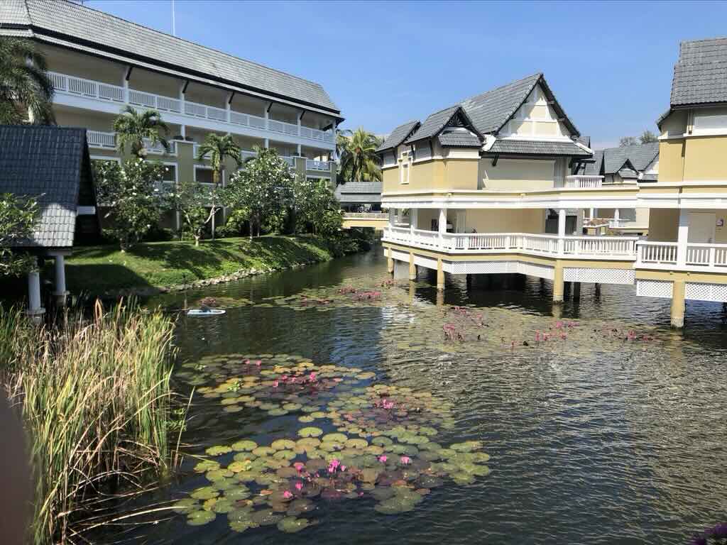 Angsana bridge-2