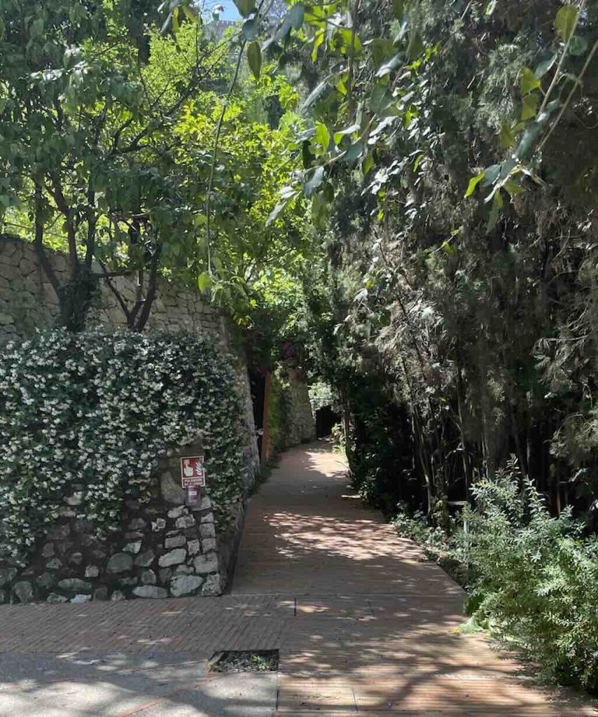 mont-sant-garden2