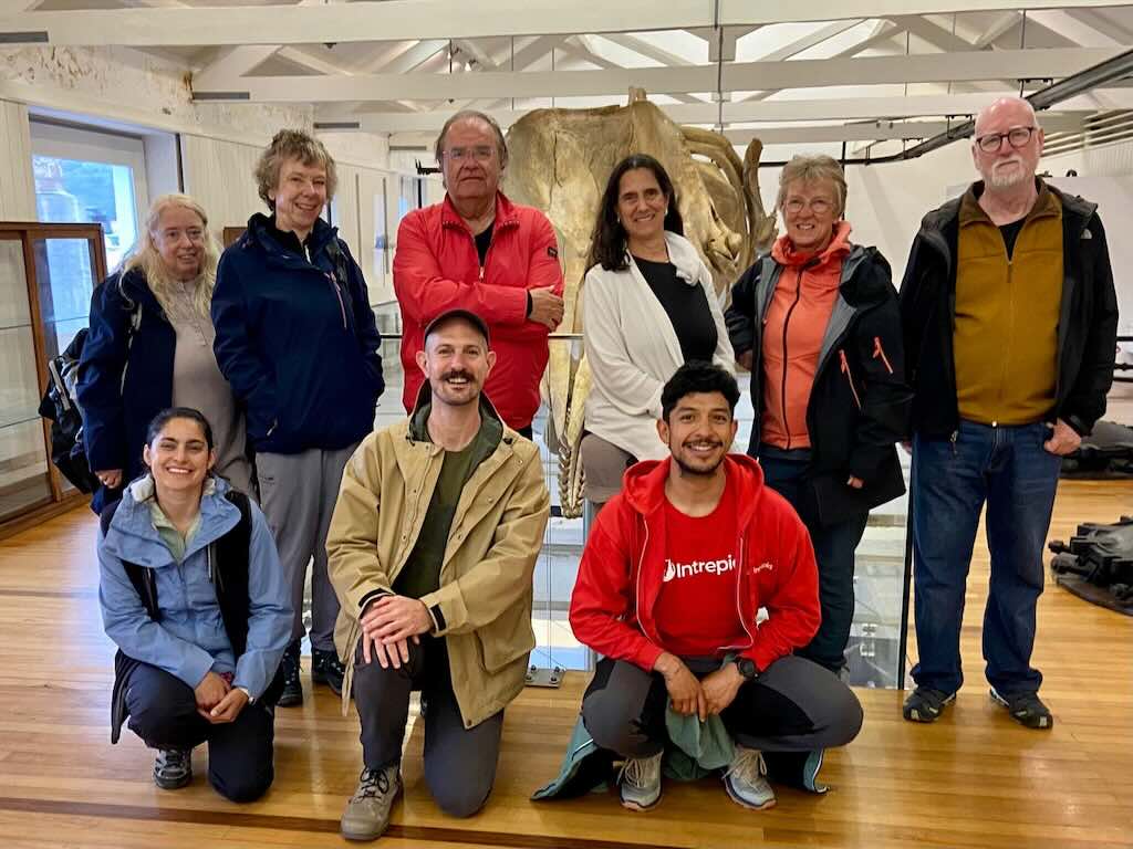visit-whaling-museum