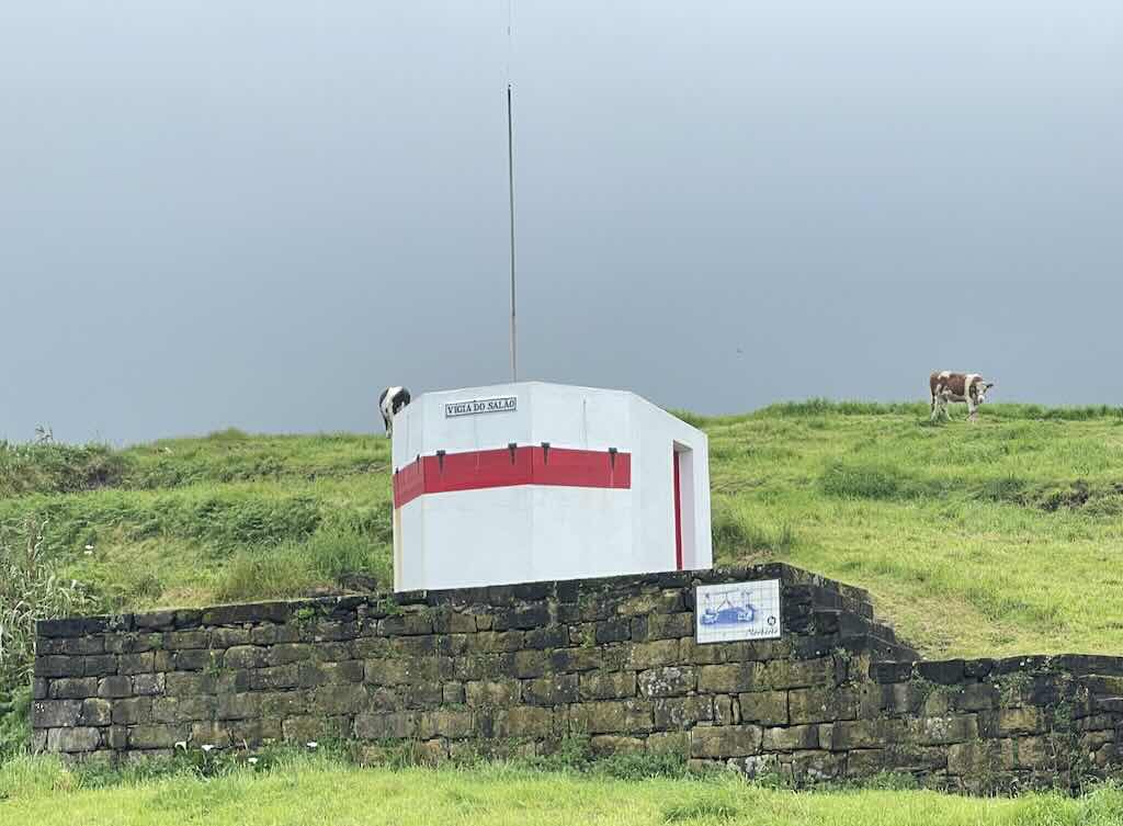 whale-watching-vigias
