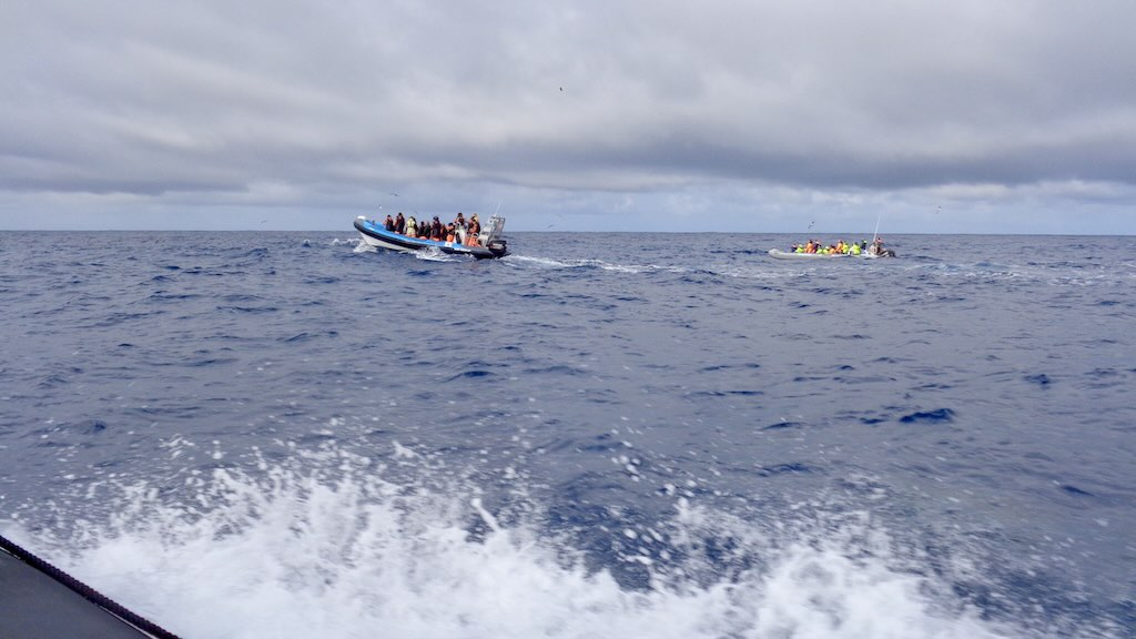 whale-watching