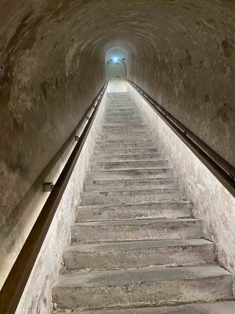 bollinger-cellar1