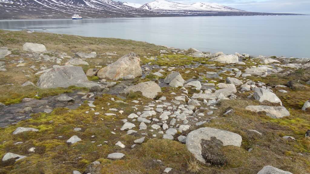 jotunkjeldene-tundra