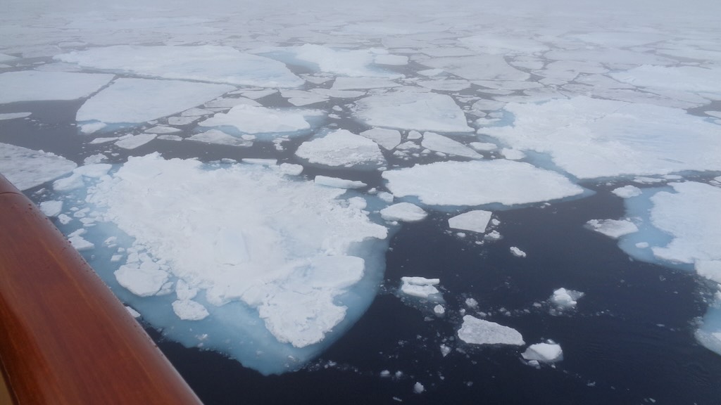 sea-ice