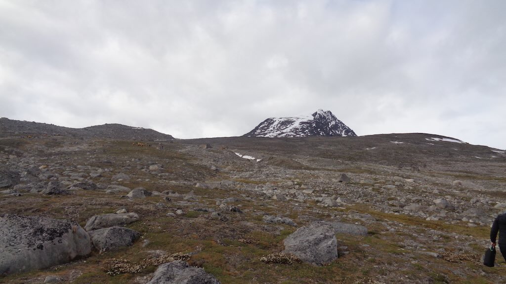 sverrefjellet