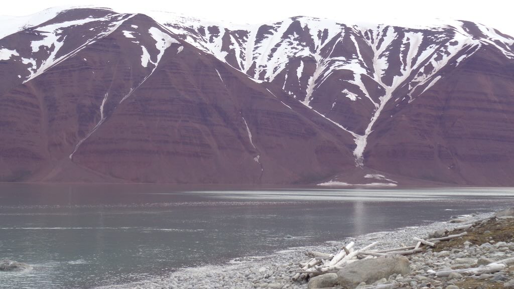 woodfjorden-group