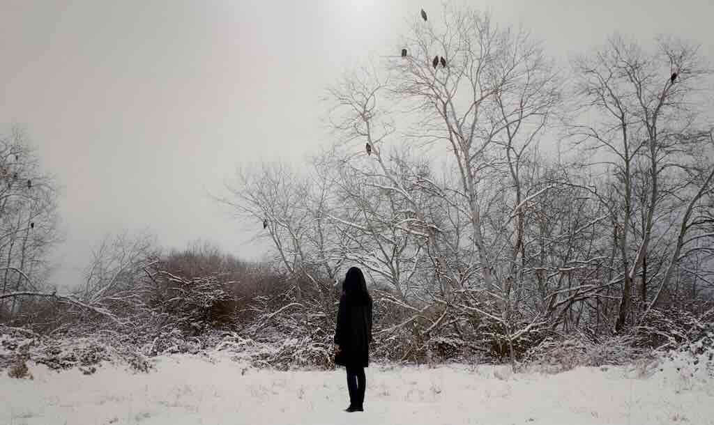 woman-with-eagles