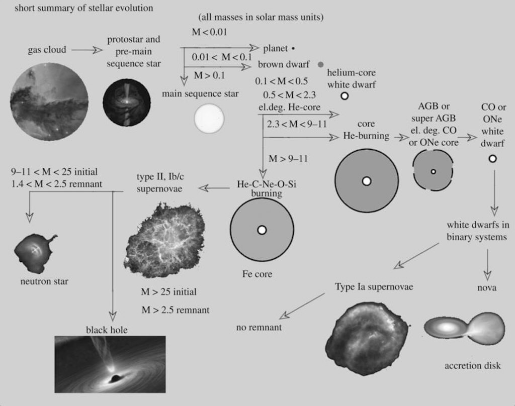 evolutionary-paths-of-single-stars