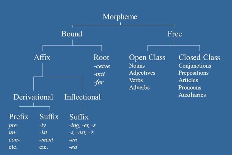 Typology of English Morphemes