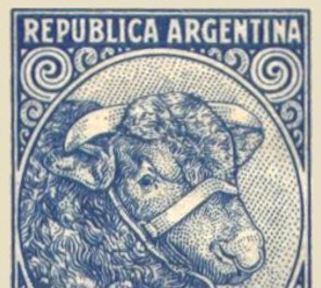 Argentina Bull