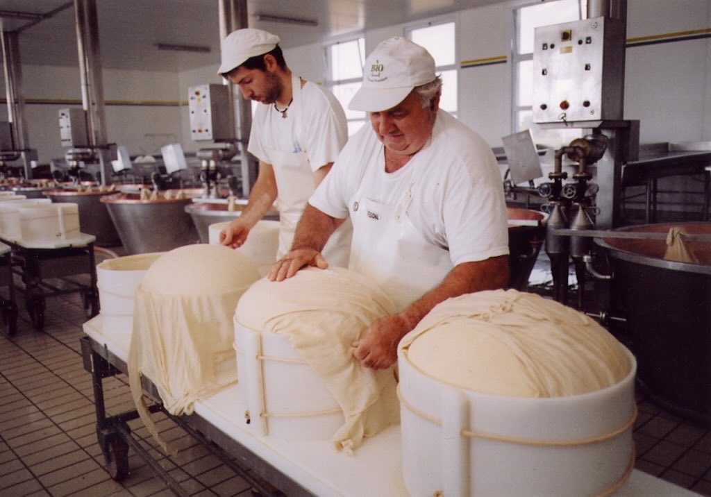 Parmigiano mould