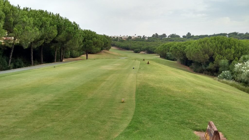 Los Pinos hole 8