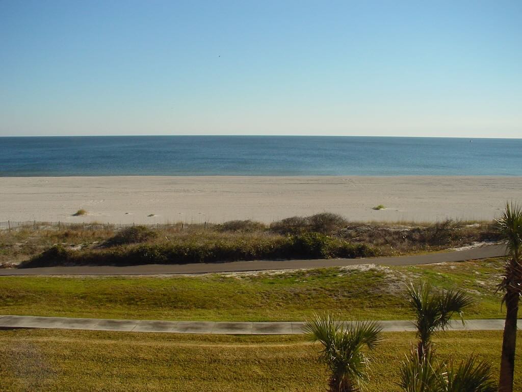 Turtle Dunes View