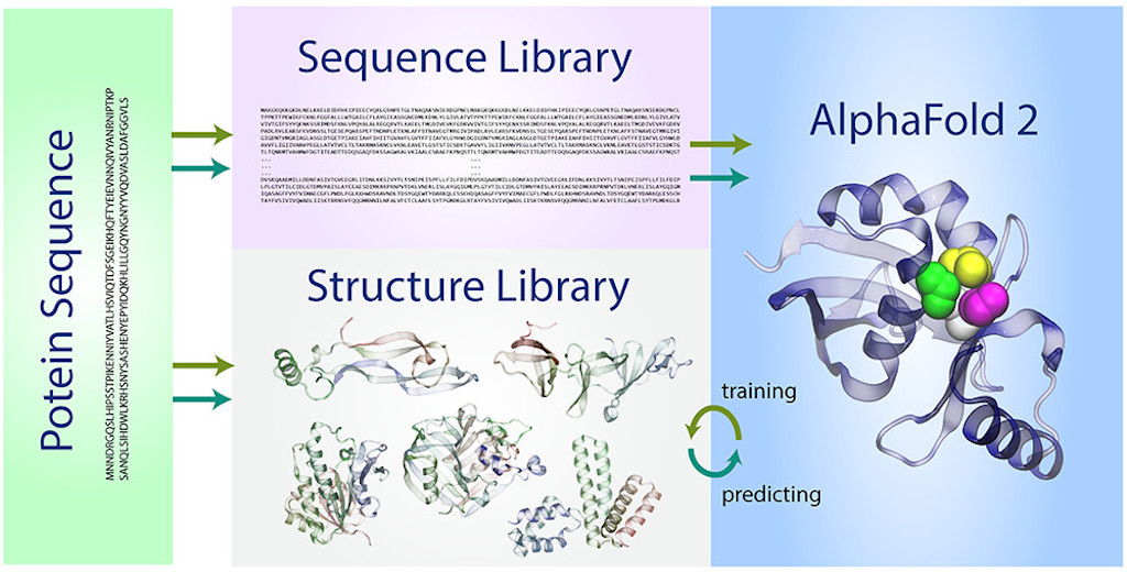 DeepMind's AlphaFold2