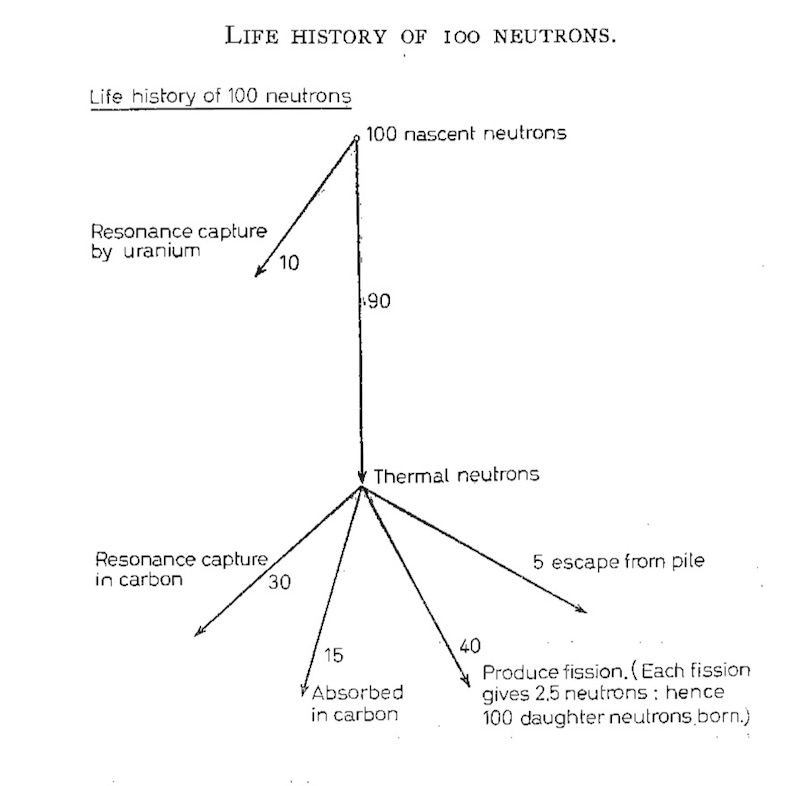 Life-history of neutrons