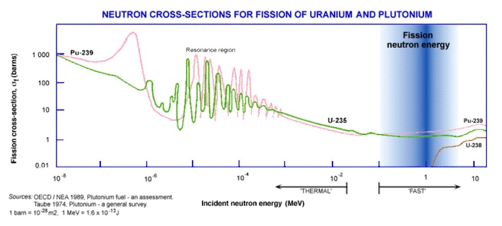 Neutron Cross Section