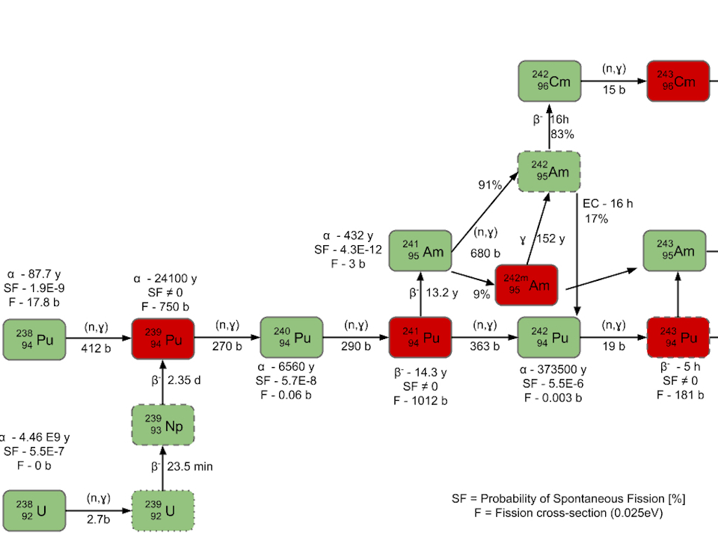 Chain of the transuranic elements